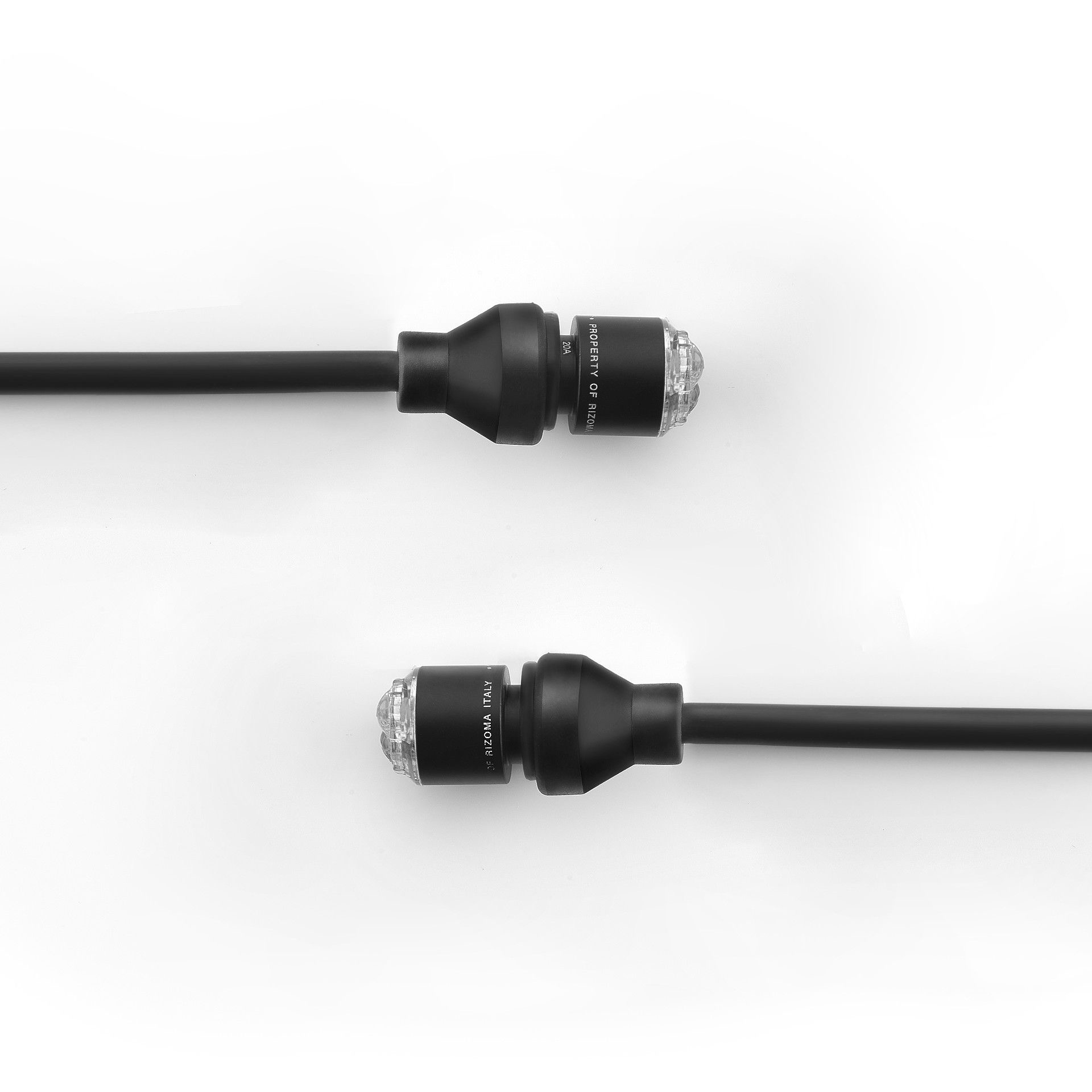 Ct017b Rizoma